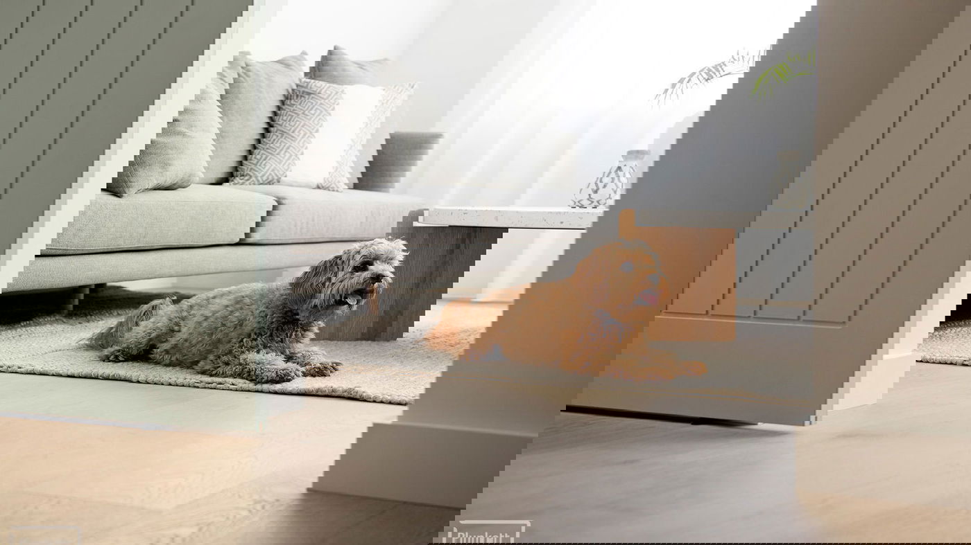 Plunkett Homes -  - Gallery - Norfolk 027