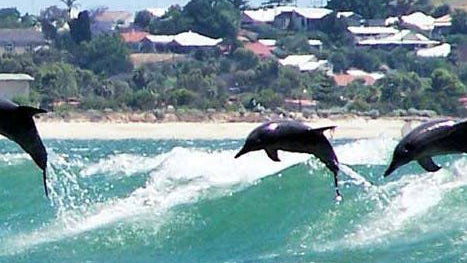 Wa Country Builders -  - Gallery - 127115638 Image E