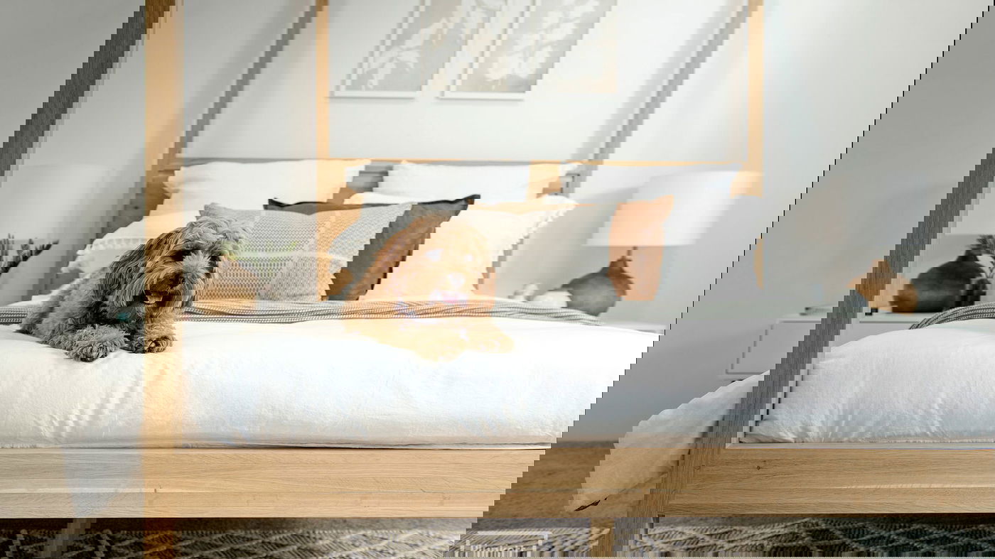 Plunkett Homes -  - Gallery - Norfolk 025